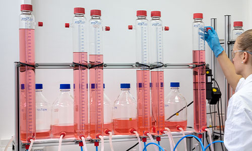 anaerobe abbaubarkeitstest mit modelkläranlage im labor